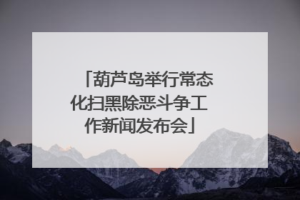 葫芦岛举行常态化扫黑除恶斗争工作新闻发布会