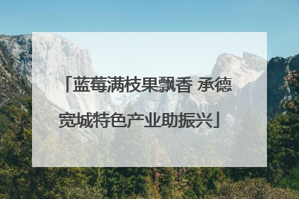 蓝莓满枝果飘香 承德宽城特色产业助振兴