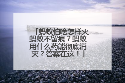 蚂蚁怕啥怎样灭蚂蚁不留痕？蚂蚁用什么药能彻底消灭？答案在这！