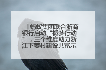 蚂蚁集团联合浙商银行启动“栀梦行动”，三个维度助力浙江下姜村建设共富示范区示范点