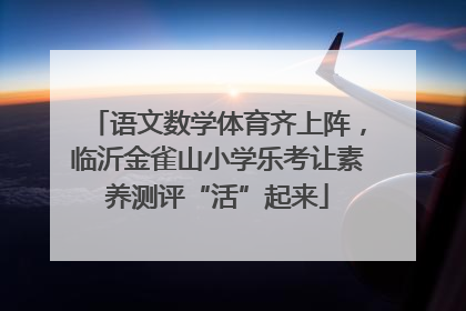 语文数学体育齐上阵，临沂金雀山小学乐考让素养测评“活”起来