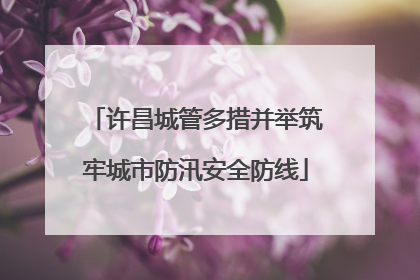 许昌城管多措并举筑牢城市防汛安全防线