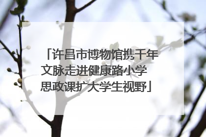 许昌市博物馆携千年文脉走进健康路小学 思政课扩大学生视野