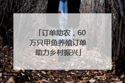 订单助农，60万只甲鱼养殖订单助力乡村振兴