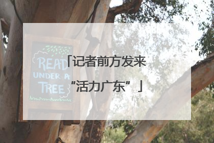 记者前方发来“活力广东”