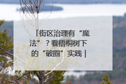 街区治理有“魔法”？看梧桐树下的“破圈”实践｜我在街区当书记