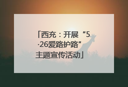 西充：开展“5·26爱路护路”主题宣传活动