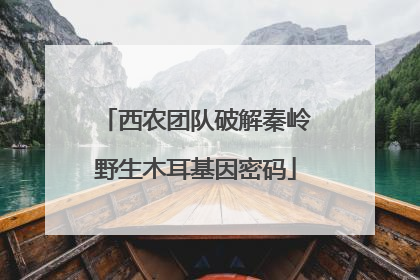 西农团队破解秦岭野生木耳基因密码
