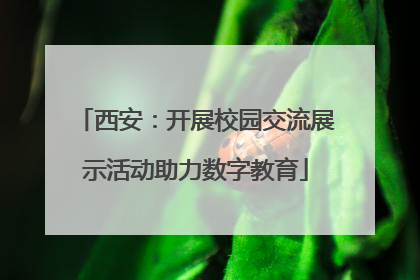 西安：开展校园交流展示活动助力数字教育