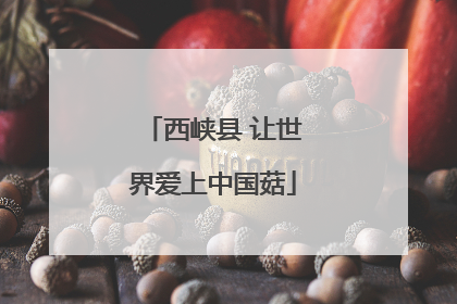 西峡县 让世界爱上中国菇