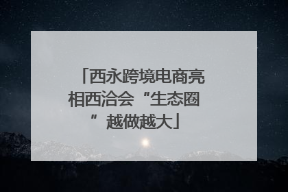 西永跨境电商亮相西洽会“生态圈”越做越大