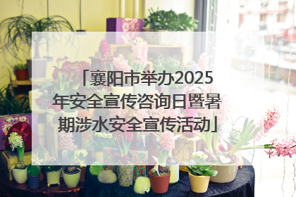 襄阳市举办2025年安全宣传咨询日暨暑期涉水安全宣传活动