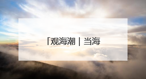 观海潮｜当海南自贸港遇上跨境电商综试区