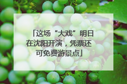 这场“大戏”明日在沈阳开演，凭票还可免费游景点