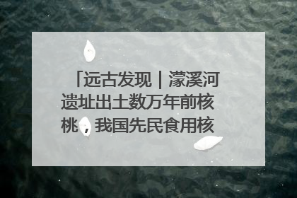 远古发现｜濛溪河遗址出土数万年前核桃，我国先民食用核桃历史大幅提前