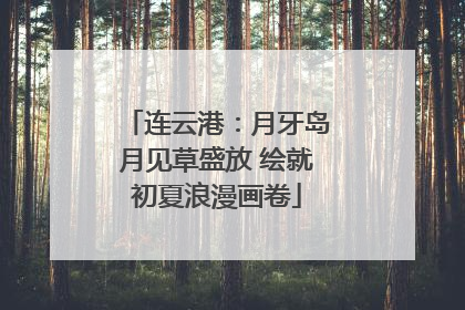连云港：月牙岛月见草盛放 绘就初夏浪漫画卷
