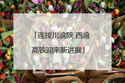 连接川渝陕 西渝高铁迎来新进展