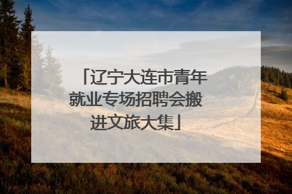 辽宁大连市青年就业专场招聘会搬进文旅大集