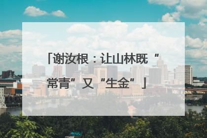 谢汝根：让山林既“常青”又“生金”