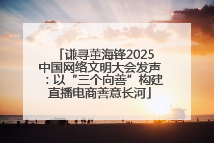 谦寻董海锋2025中国网络文明大会发声：以“三个向善”构建直播电商善意长河