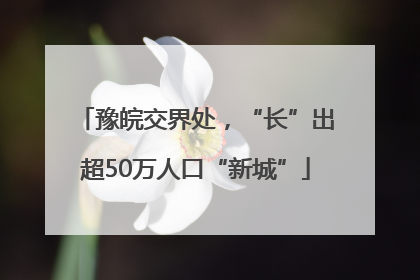 豫皖交界处，“长”出超50万人口“新城”