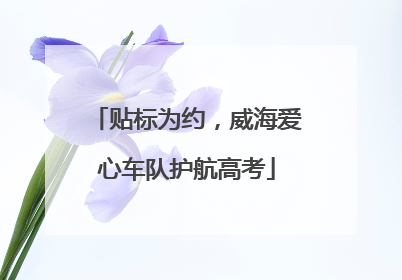 贴标为约，威海爱心车队护航高考