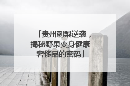 贵州刺梨逆袭，揭秘野果变身健康奢侈品的密码