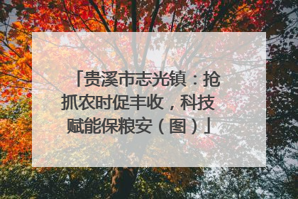 贵溪市志光镇：抢抓农时促丰收，科技赋能保粮安（图）