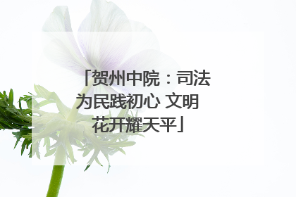 贺州中院：司法为民践初心 文明花开耀天平