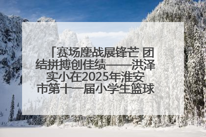 赛场鏖战展锋芒 团结拼搏创佳绩——洪泽实小在2025年淮安市第十一届小学生篮球比赛中再获佳绩