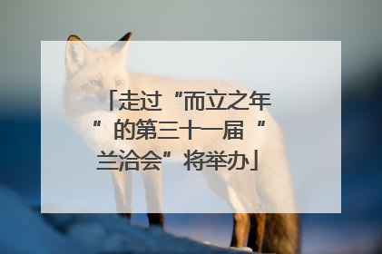 走过“而立之年”的第三十一届“兰洽会”将举办