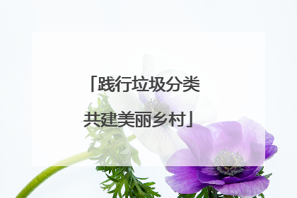 践行垃圾分类 共建美丽乡村