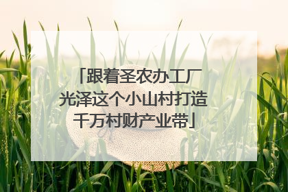 跟着圣农办工厂 光泽这个小山村打造千万村财产业带