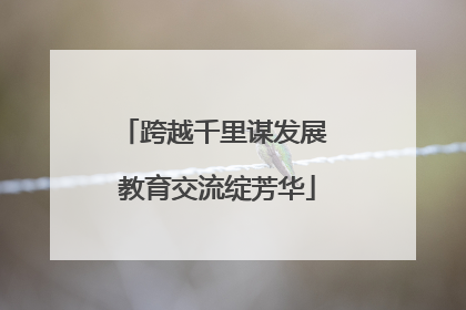 跨越千里谋发展 教育交流绽芳华