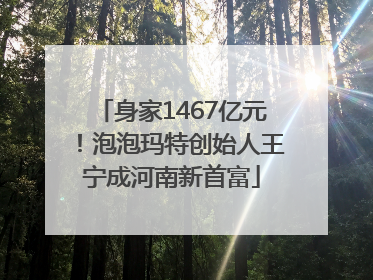 身家1467亿元！泡泡玛特创始人王宁成河南新首富
