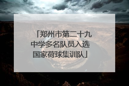郑州市第二十九中学多名队员入选国家荷球集训队