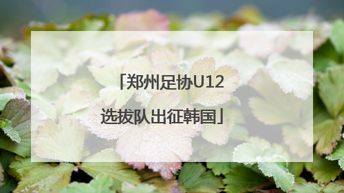 郑州足协U12选拔队出征韩国
