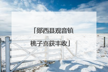 郧西县观音镇桃子喜获丰收