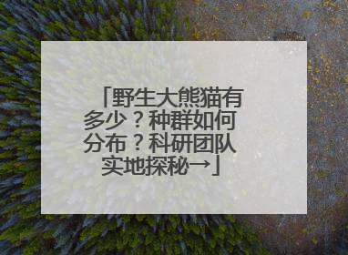 野生大熊猫有多少？种群如何分布？科研团队实地探秘→