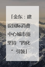 金东：建设国际消费中心城市须坚持“四化”引领