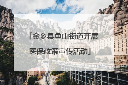金乡县鱼山街道开展医保政策宣传活动