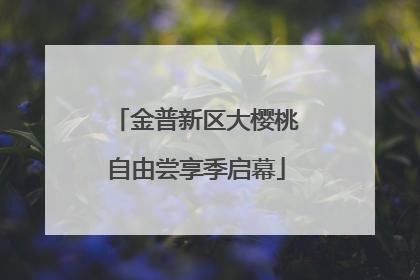 金普新区大樱桃自由尝享季启幕