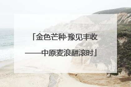 金色芒种·豫见丰收——中原麦浪翻滚时