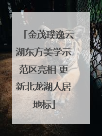 金茂璞逸云湖东方美学示范区亮相 更新北龙湖人居地标