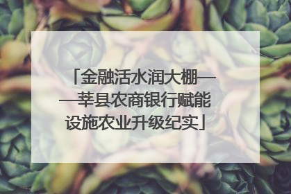 金融活水润大棚——莘县农商银行赋能设施农业升级纪实