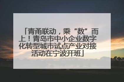 青甬联动，乘“数”而上！青岛市中小企业数字化转型城市试点产业对接活动在宁波开班