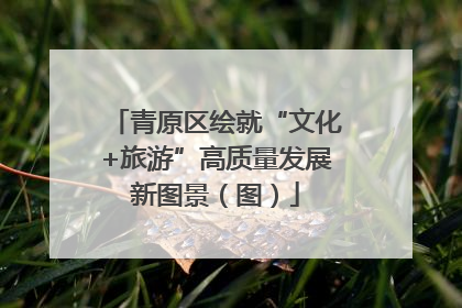 青原区绘就“文化+旅游”高质量发展新图景（图）
