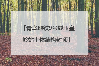 青岛地铁9号线玉皇岭站主体结构封顶