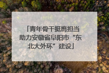青年骨干挺膺担当 助力安徽省阜阳市“东北大外环”建设