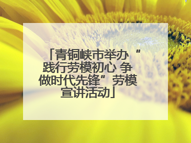 青铜峡市举办“践行劳模初心 争做时代先锋”劳模宣讲活动